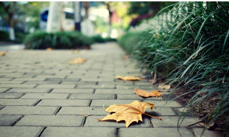 Exploring Cost-Effective Paving Solutions for San Diego Commercial Properties